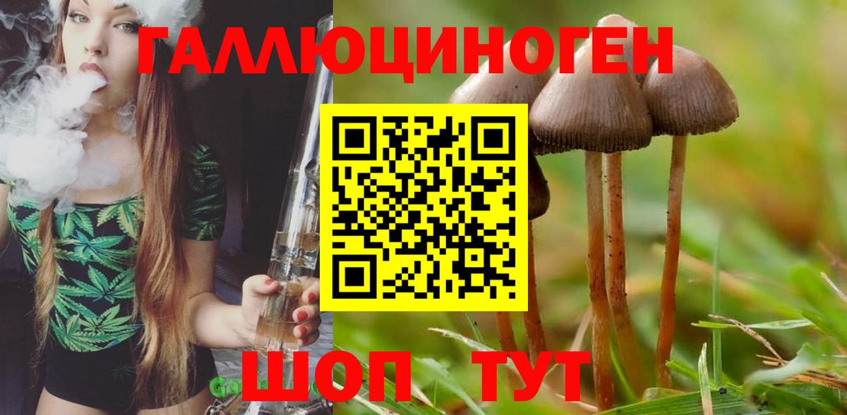 Псилоцибиновые грибы Psilocybine cubensis  Вход с VPN  Псилоцибиновые грибы мухоморы  Знаменск 