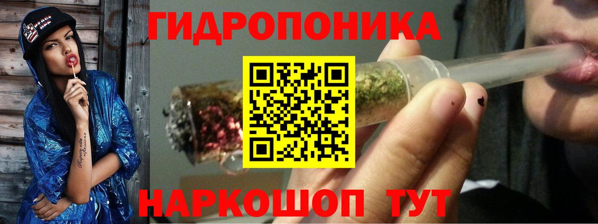 Бошки марихуана AK-47  Шишки марихуана конопля  Вход с VPN  Конопля конопля  Знаменск 